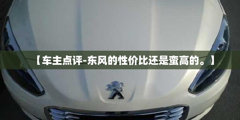 【车主点评-东风的性价比还是蛮高的。】