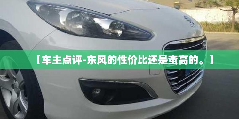 【车主点评-东风的性价比还是蛮高的。】