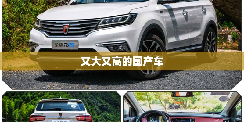 又大又高的国产车