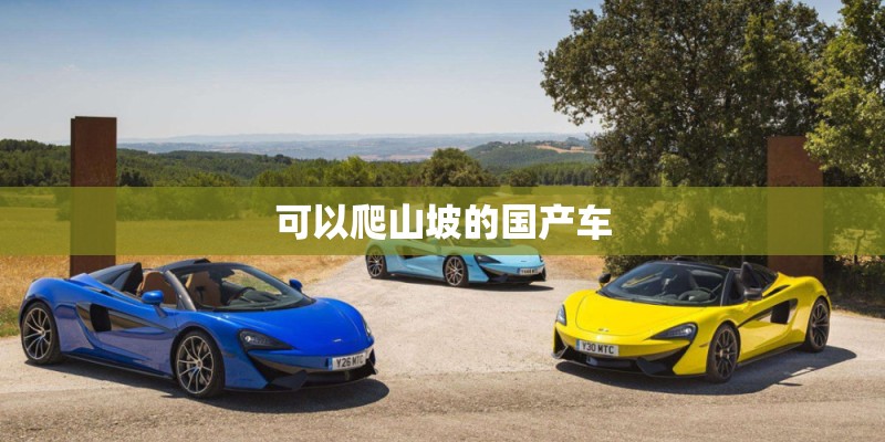 【车主点评-东风的性价比还是蛮高的。】