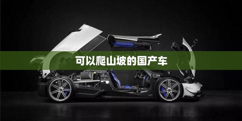 可以爬山坡的国产车