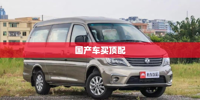 又大又高的国产车
