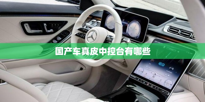 国产车真皮中控台有哪些