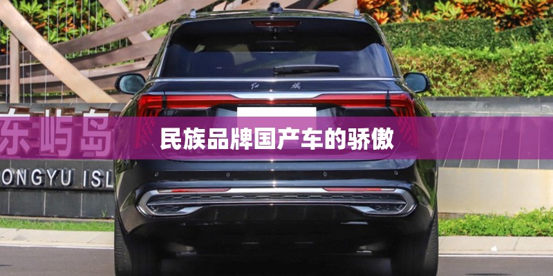 十万元买合资车好还是买国产车好？