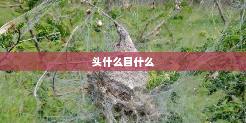 戴尔笔记本win10耳机没声音怎么设置