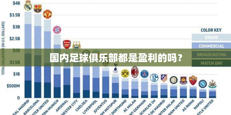 国内足球俱乐部都是盈利的吗？
