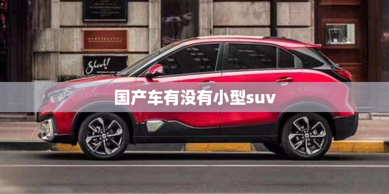 国产车有没有小型suv