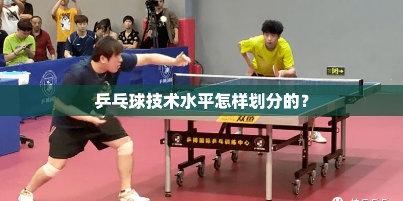 乒乓球技术水平怎样划分的？