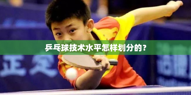 乒乓球技术水平怎样划分的？