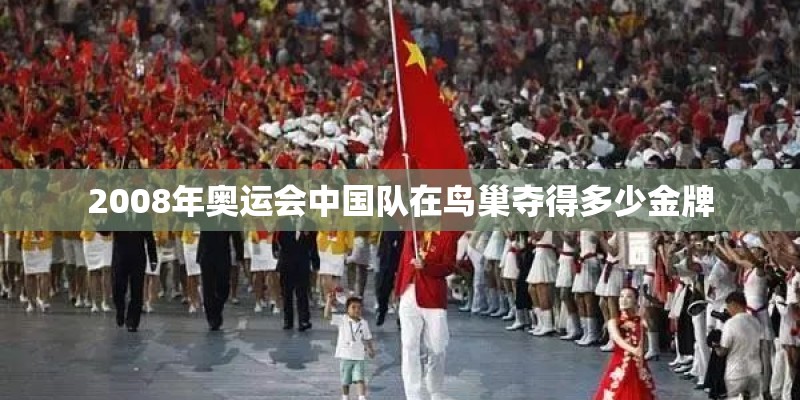 2008年奥运会中国队在鸟巢夺得多少金牌