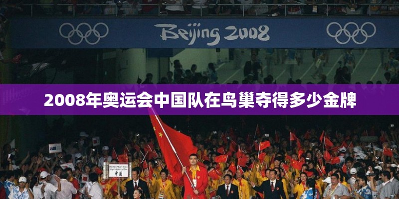 2008年奥运会中国队在鸟巢夺得多少金牌