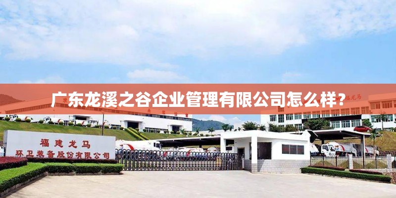 广东龙溪之谷企业管理有限公司怎么样？