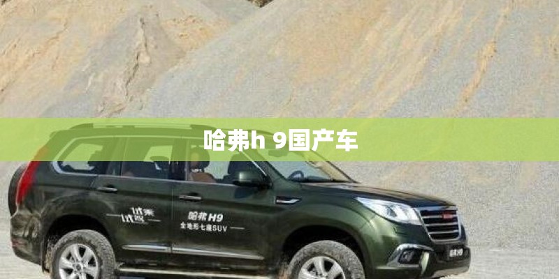 哈弗h 9国产车
