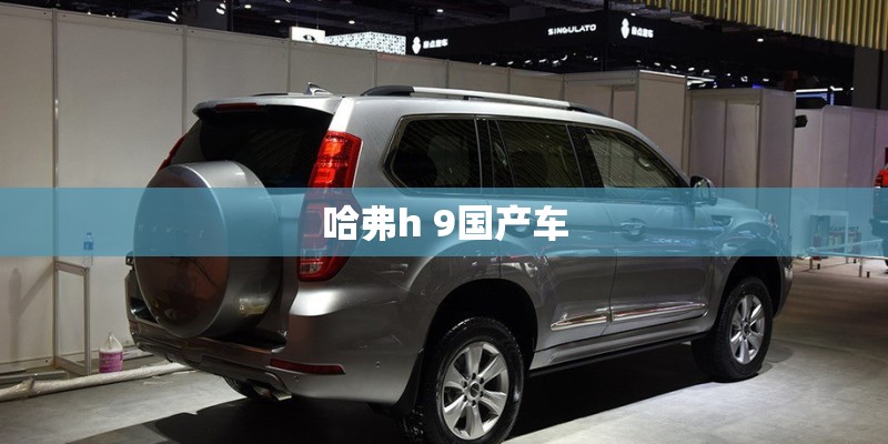 哈弗h 9国产车