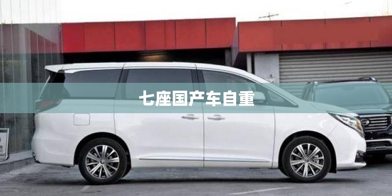 国产车瞬时扭矩多少正常