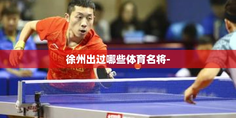 徐州出过哪些体育名将-