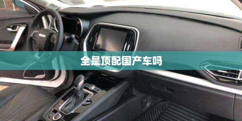 全是顶配国产车吗
