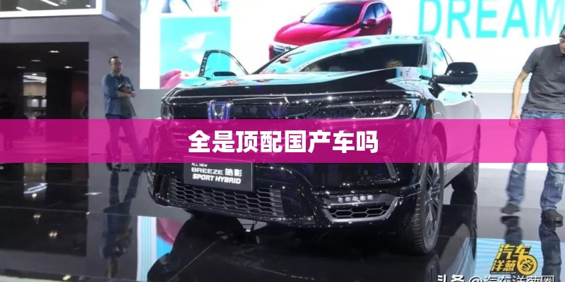 全是顶配国产车吗