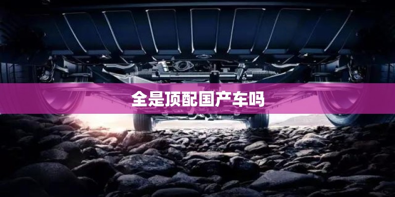 全是顶配国产车吗