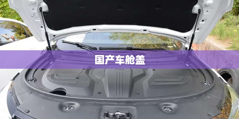 中国乒乓球队东京奥运会参赛名单