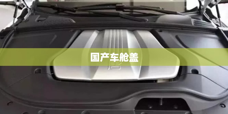 国产车舱盖