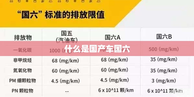 什么是国产车国六