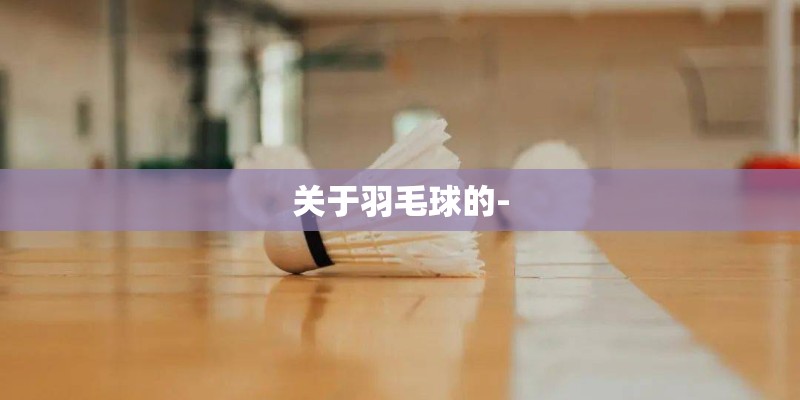 关于羽毛球的-