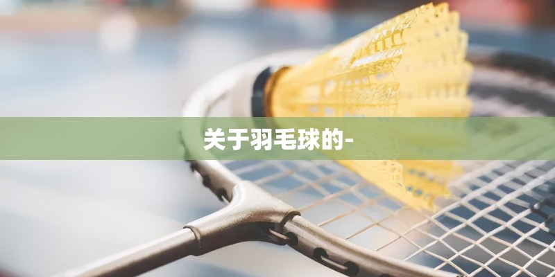 关于羽毛球的-