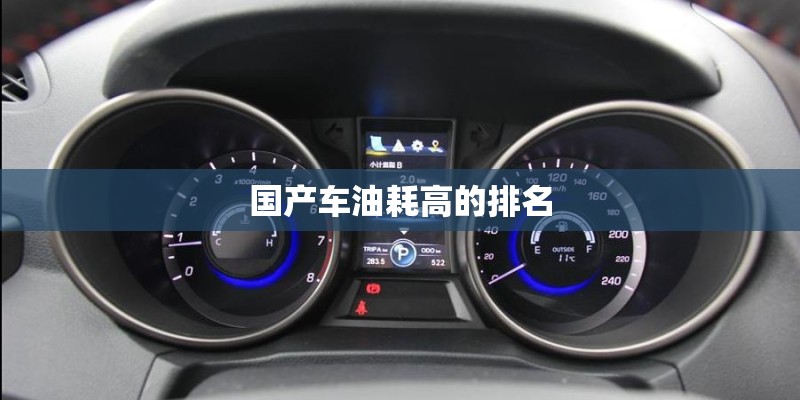 国产车油耗高的排名