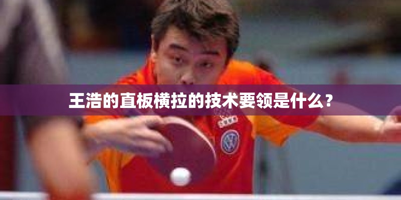 43万2.0排量的进口车购置税要缴多少
