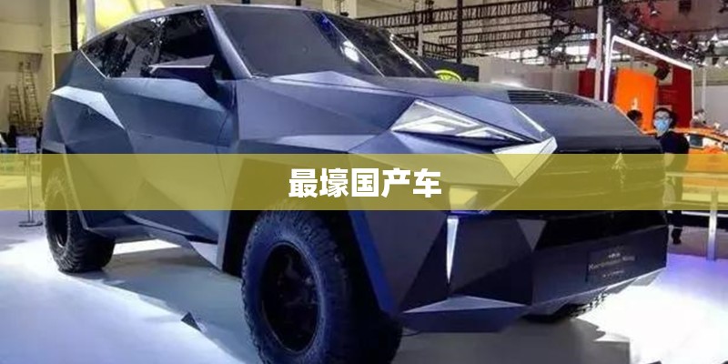 最壕国产车