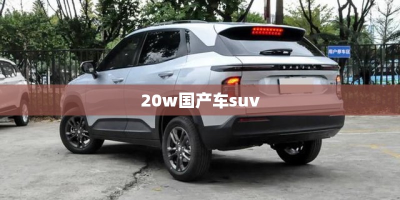 20w国产车suv