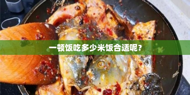 一顿饭吃多少米饭合适呢？
