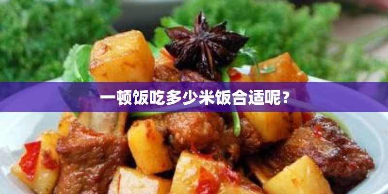 一顿饭吃多少米饭合适呢？