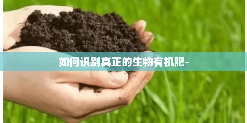 如何识别真正的生物有机肥-