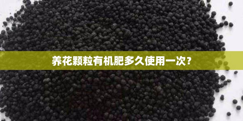 养花颗粒有机肥多久使用一次？