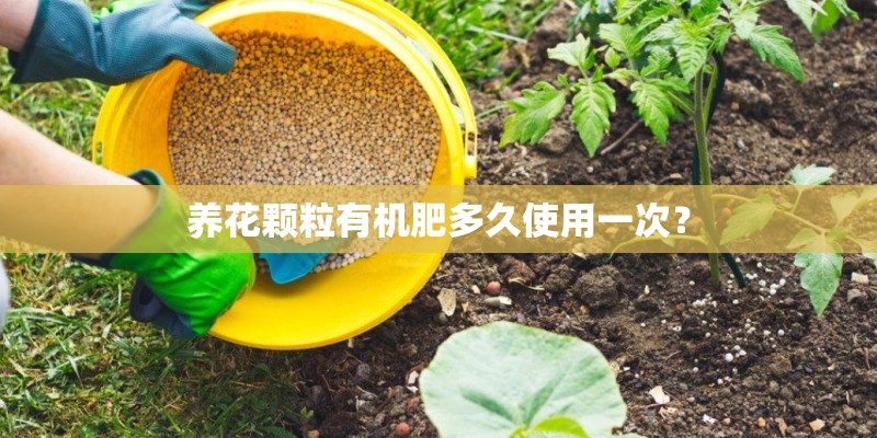 养花颗粒有机肥多久使用一次？
