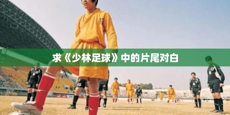 求《少林足球》中的片尾对白