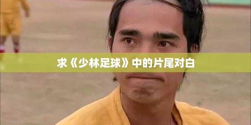 求《少林足球》中的片尾对白