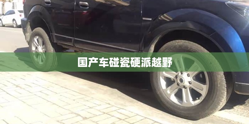国产车碰瓷硬派越野