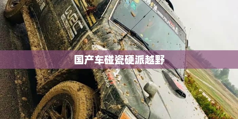 国产车碰瓷硬派越野