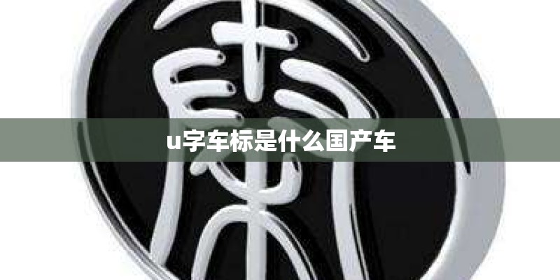 同价位的国产车跟合资车谁的性价比更高？