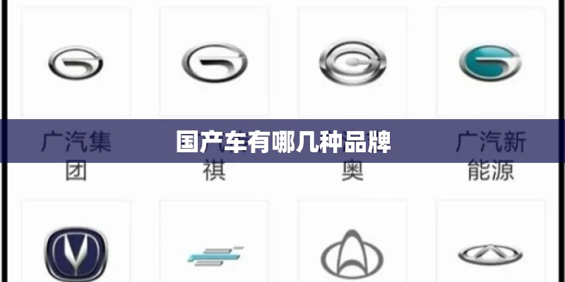 国产车有哪几种品牌
