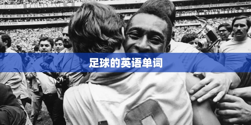 足球的英语单词