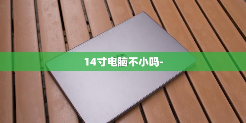 14寸电脑不小吗-