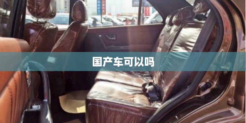 国产车可以吗