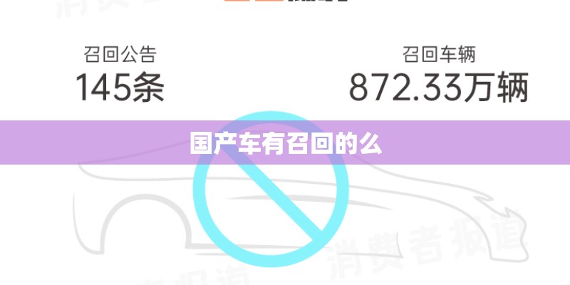 国产车有召回的么