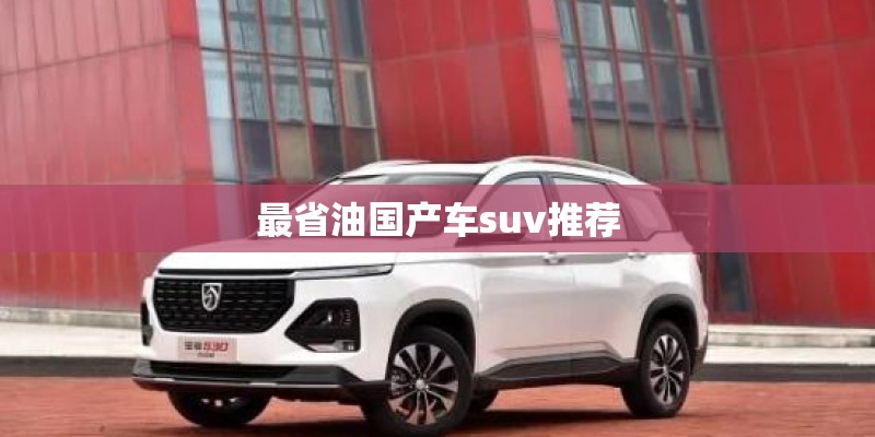 国产车有召回的么