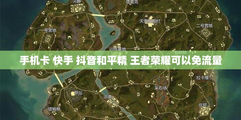 手机卡 快手 抖音和平精 王者荣耀可以免流量