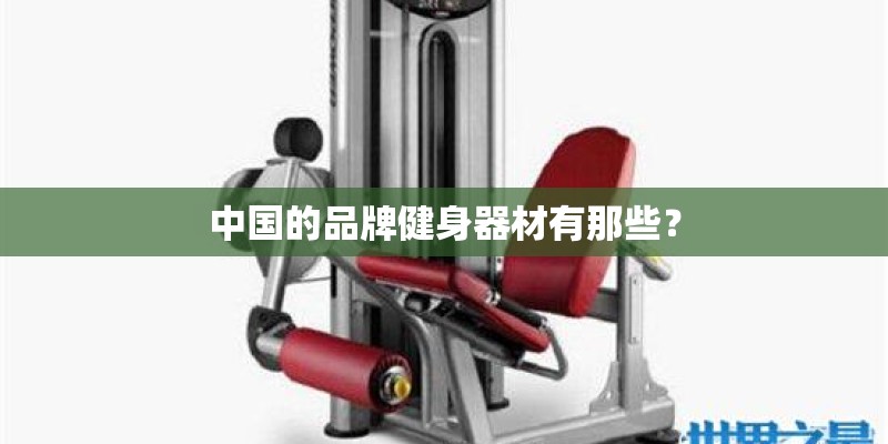 中国的品牌健身器材有那些？
